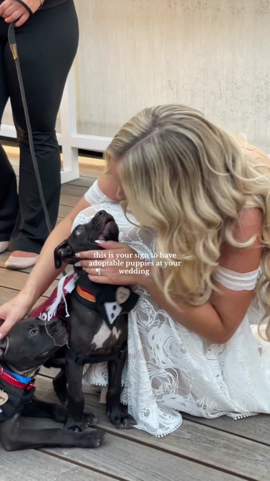 Post 10 by Britt 🤍 on TikTok (video)