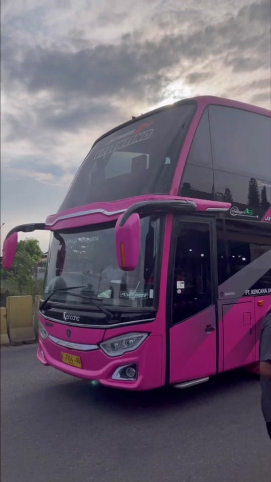 Post 10 by Adel Khanz | Owner Soongkem on TikTok (video)