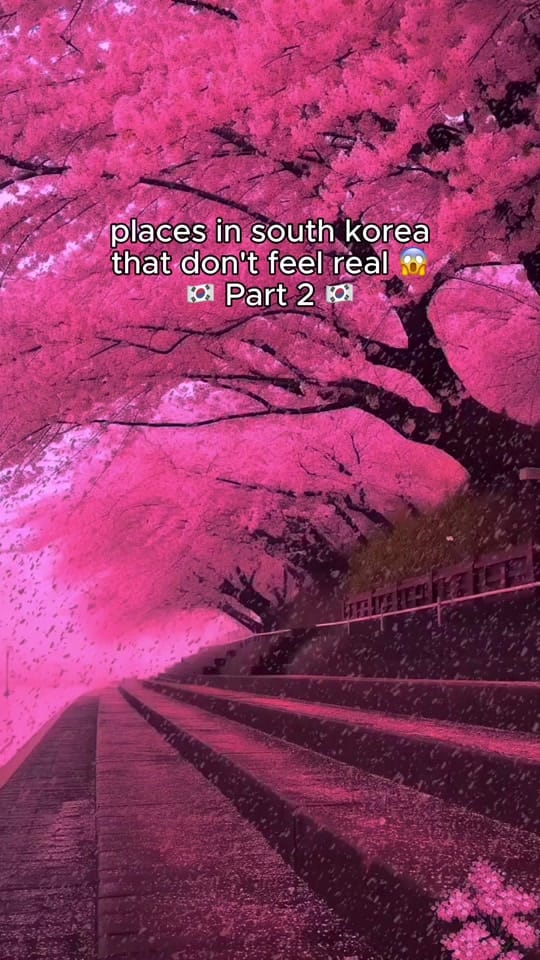 Post 6 by Traveling on TikTok (video)