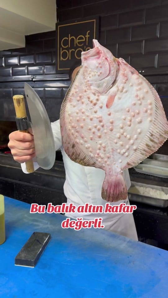 Post 8 by Mehmet Gezen on TikTok (video)