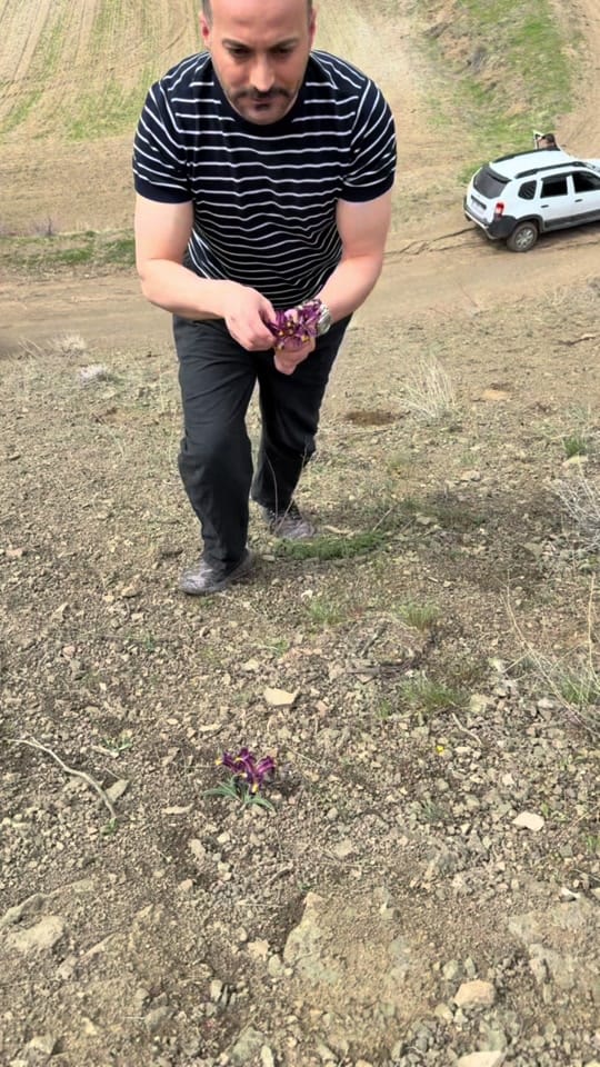 Post 6 by Mehmet Gezen on TikTok (video)