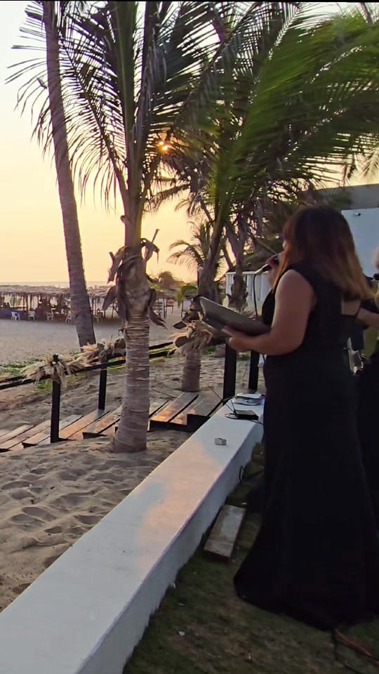 Post 3 by Violinista Acapulco on TikTok (video)