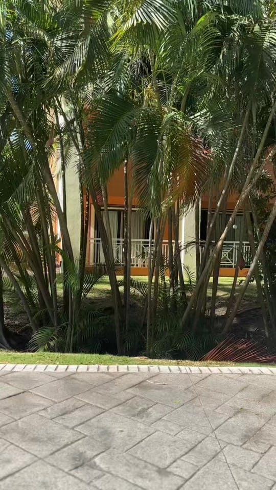 Post 7 by Pedro BC on TikTok (video)