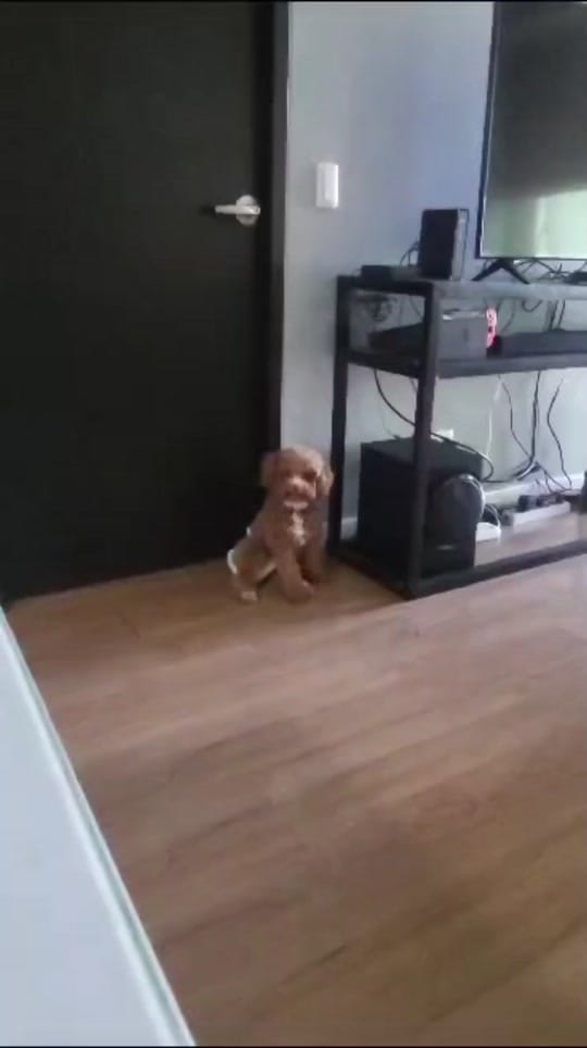 Post 9 by Mimi 🏳‍🌈🇵🇭🇫🇷 on TikTok (video)