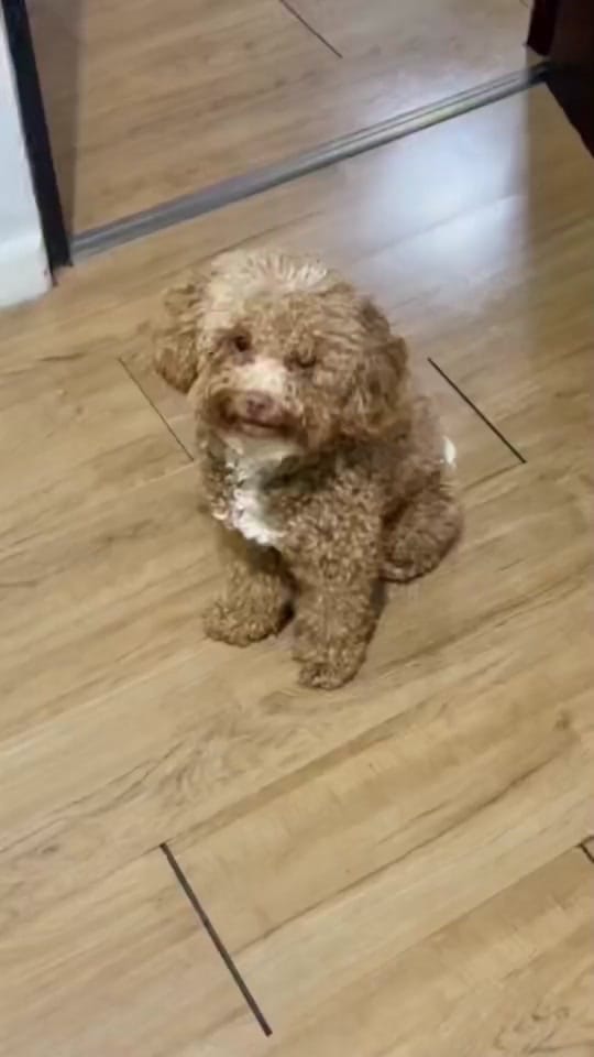 Post 10 by Mimi 🏳‍🌈🇵🇭🇫🇷 on TikTok (video)