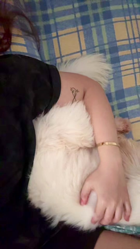 Post 4 by Mimi 🏳‍🌈🇵🇭🇫🇷 on TikTok (video)