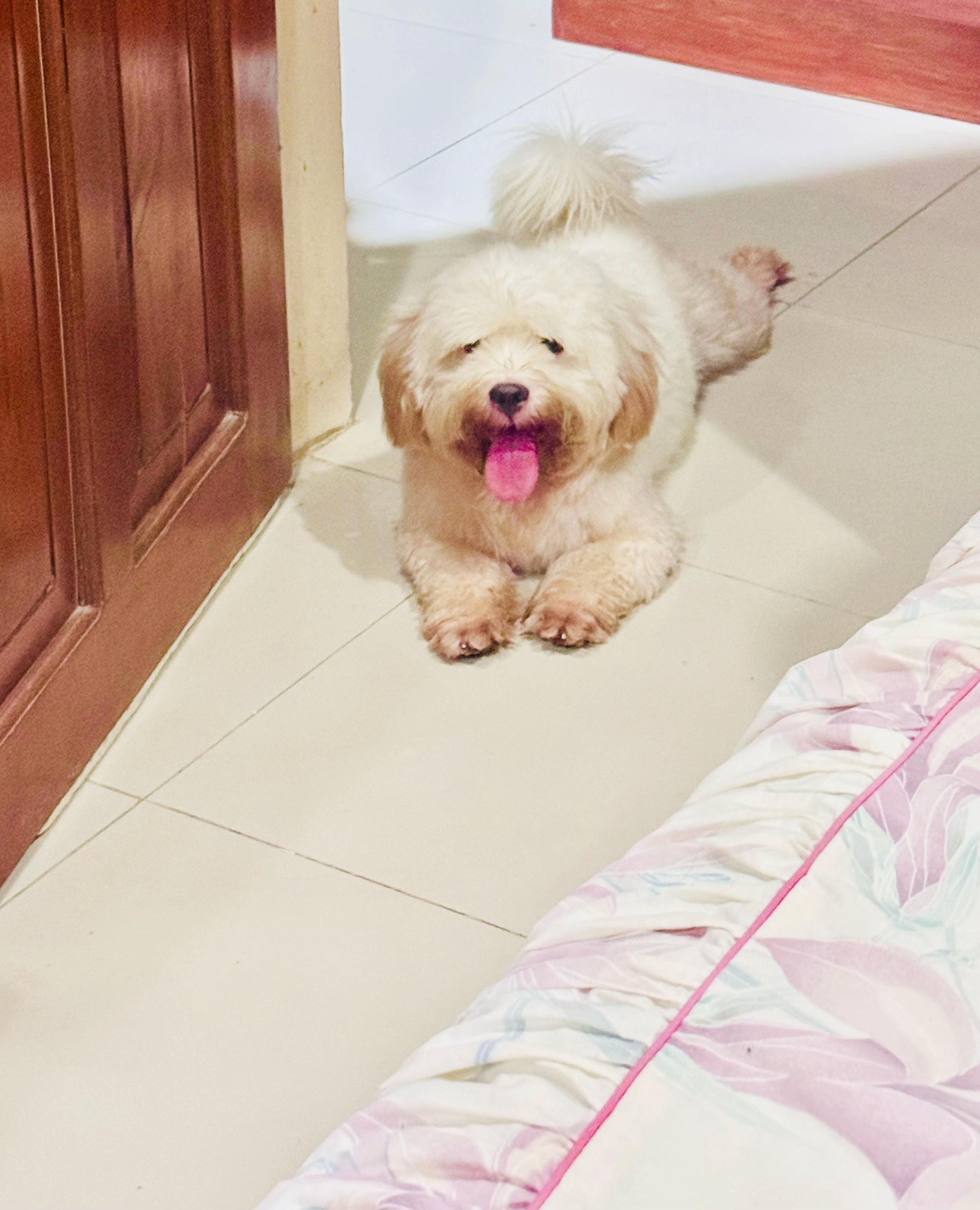 Post 7 by Mimi 🏳‍🌈🇵🇭🇫🇷 on TikTok (video)