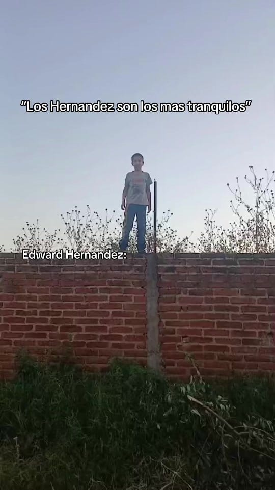 Post 7 by Stefani Hernandez on TikTok (video)
