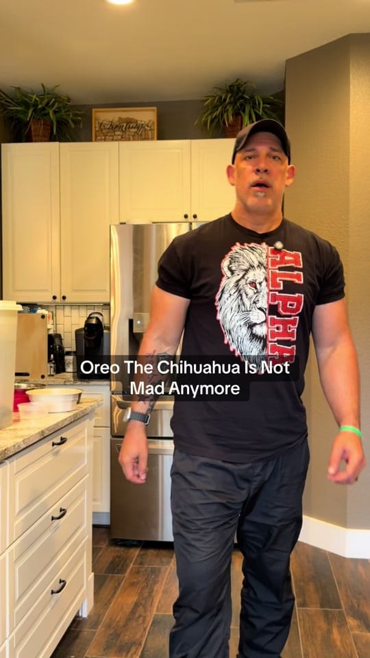 Post 3 by Dog Artistry on TikTok (video)
