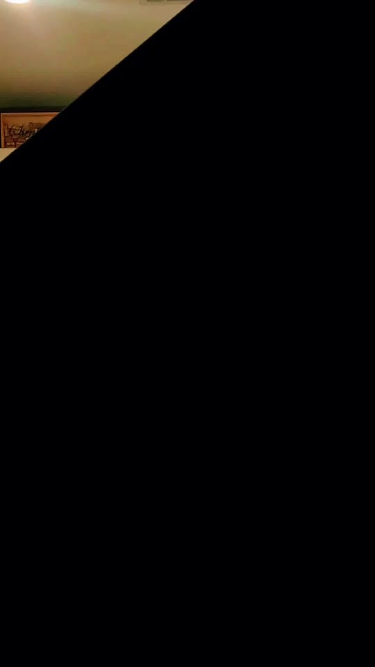 Post 6 by Dog Artistry on TikTok (video)