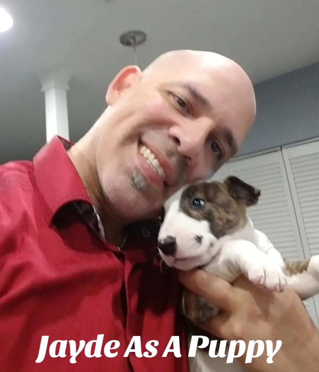 Post 10 by Dog Artistry on TikTok (video)