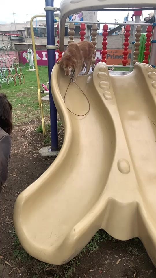 Post 4 by RicarrdoR on TikTok (video)