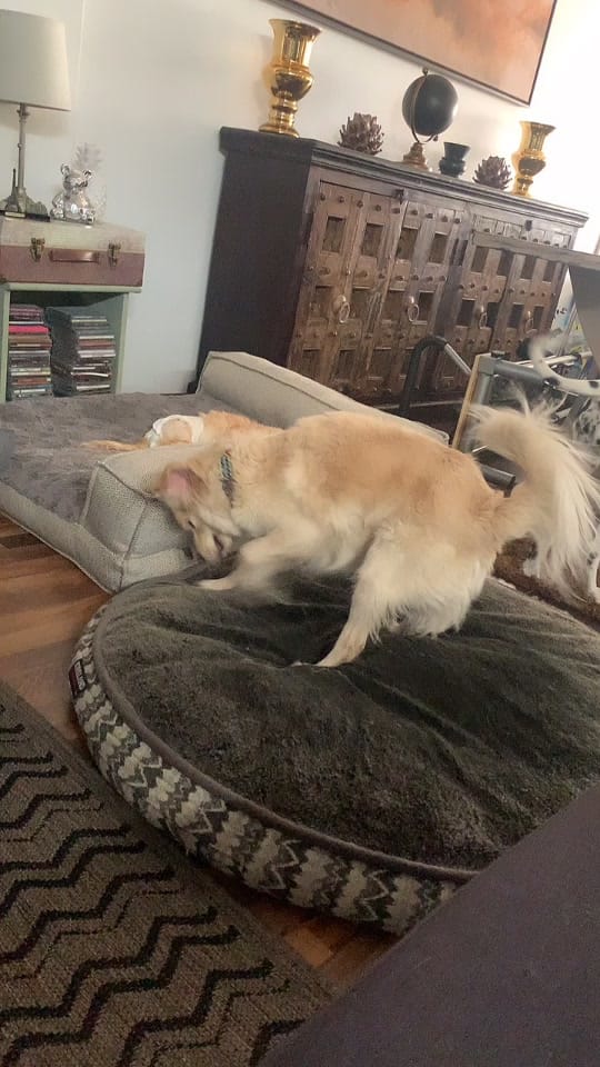 Post 7 by RicarrdoR on TikTok (video)