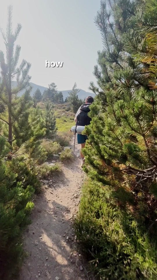 Post 7 by QforQuentin on TikTok (video)