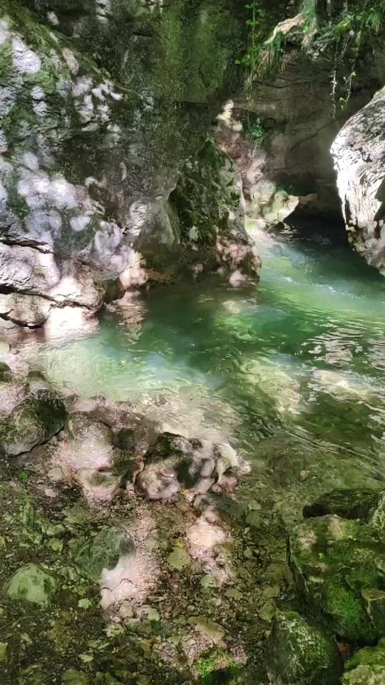Post 4 by lescarnetsderaph on TikTok (video)