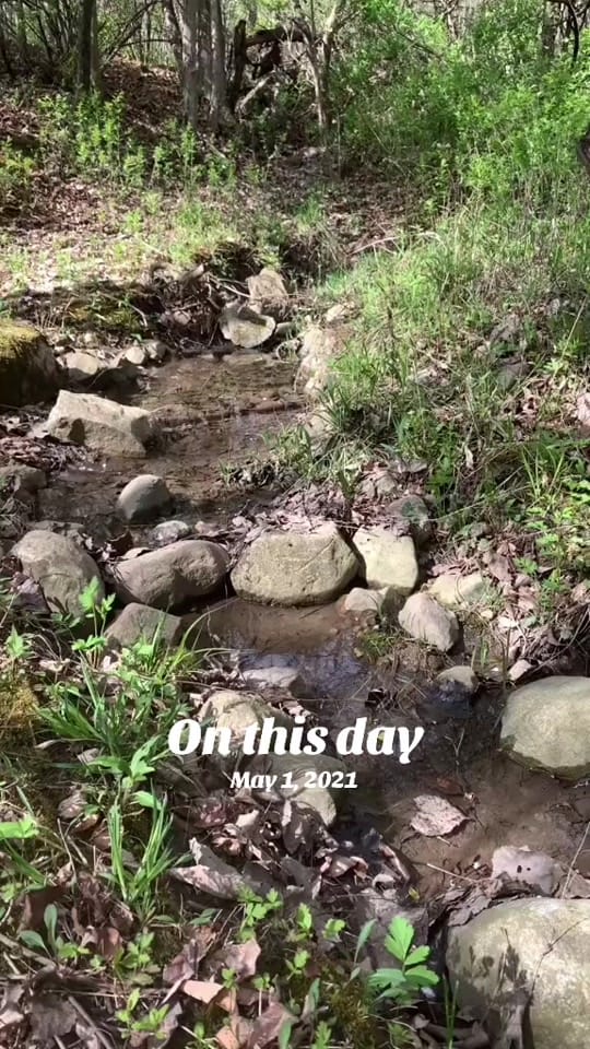 Post 7 by Tiny House Tom on TikTok (video)