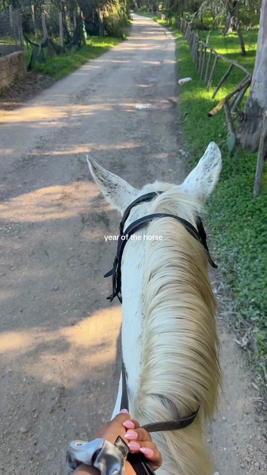 Post 2 by Deidra on TikTok (video)