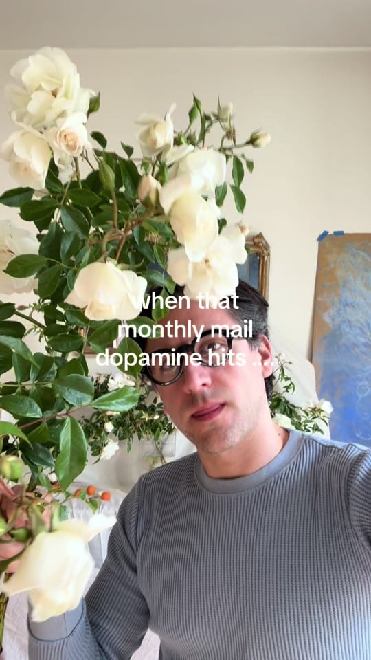 Post 8 by matthew_morrocco on TikTok (video)