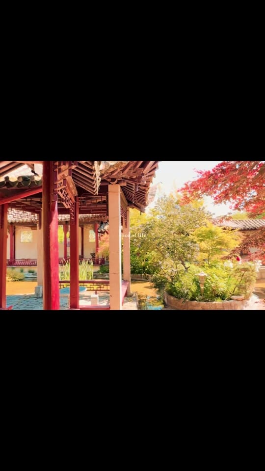 Post 4 by French Material on TikTok (video)