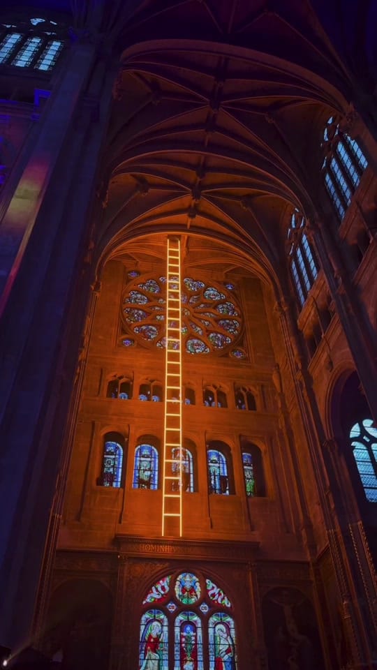 Post 9 by French Material on TikTok (video)