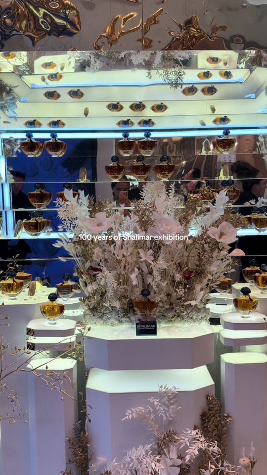 Post 9 by lifeofrvm 🦋 on TikTok (video)