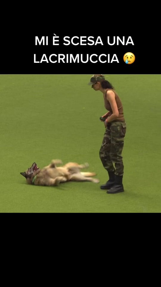 Post 10 by BecuzziLeonardo on TikTok (video)