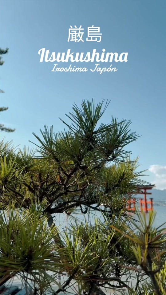 Post 10 by Francesco Gross on TikTok (video)