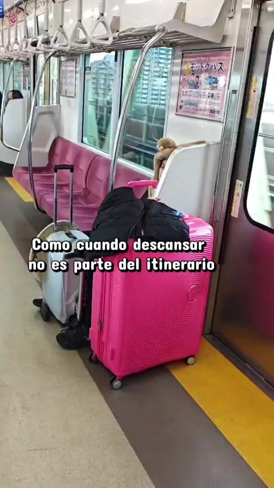 Post 3 by Victoria Ladron de G on TikTok (video)