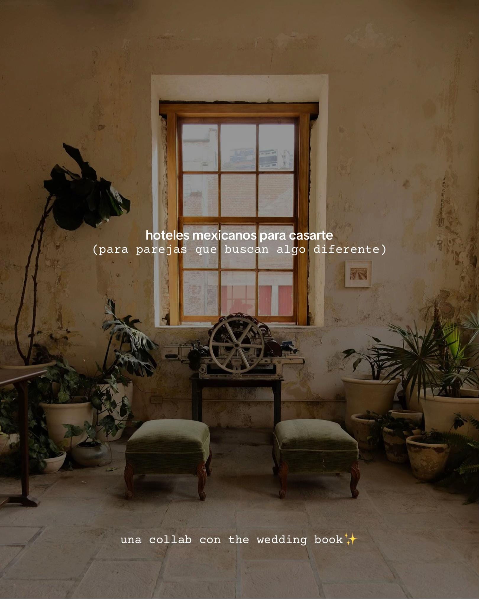 Post 7 by La Hotelista on TikTok (video)