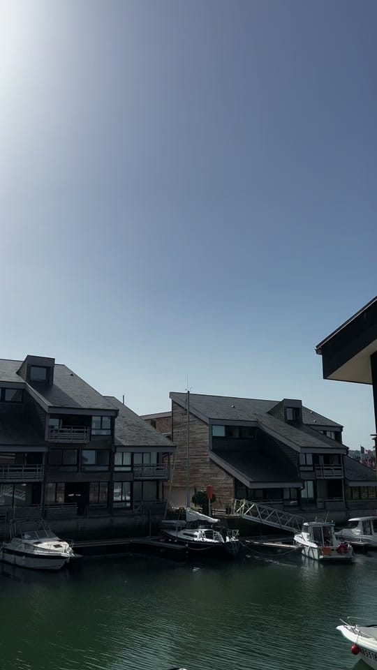 Post 4 by ☾ on TikTok (video)