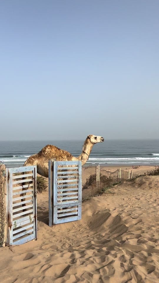 Post 6 by ☾ on TikTok (video)