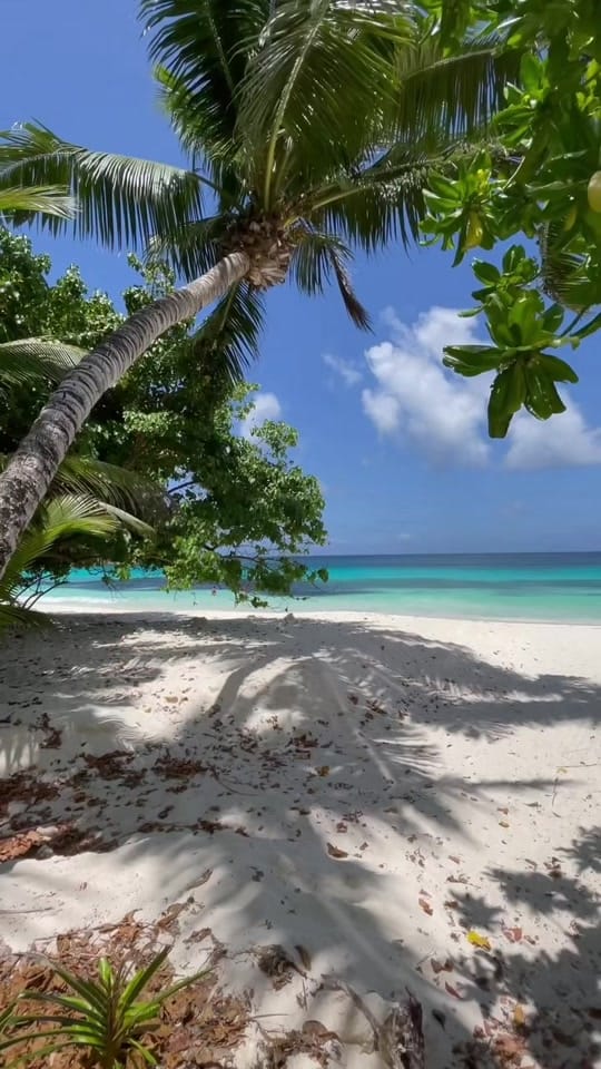Post 4 by Naomie ✨| Luxury travel on TikTok (video)