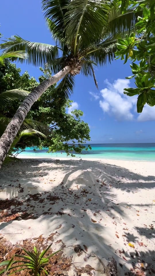 Post 10 by Naomie ✨| Luxury travel on TikTok (video)