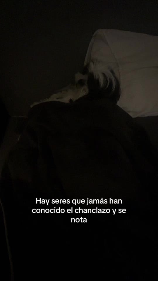 Post 1 by Giselle Silvat🍀 on TikTok (video)