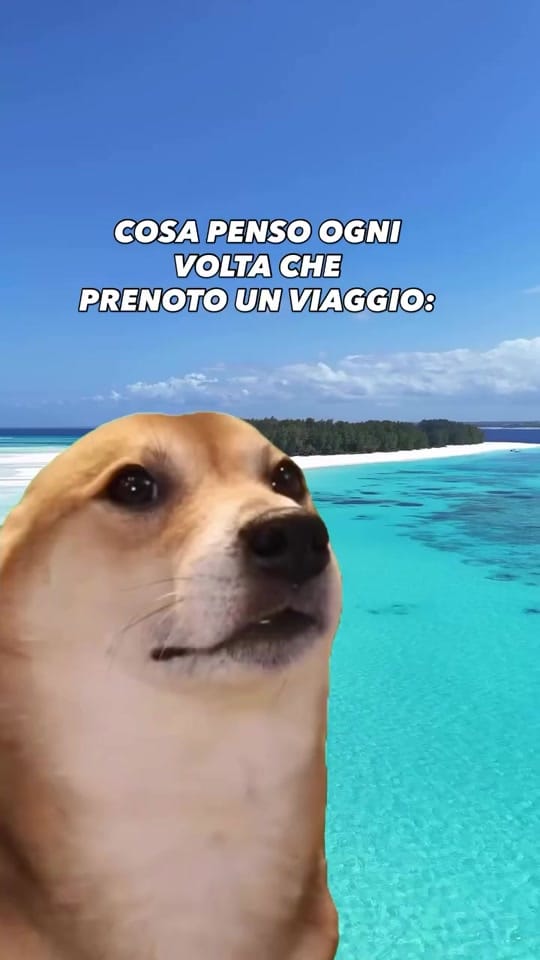 Post 4 by il vigile di turno on TikTok (video)
