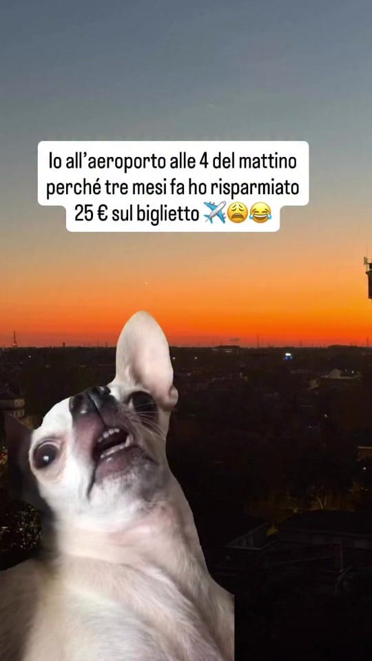 Post 8 by il vigile di turno on TikTok (video)