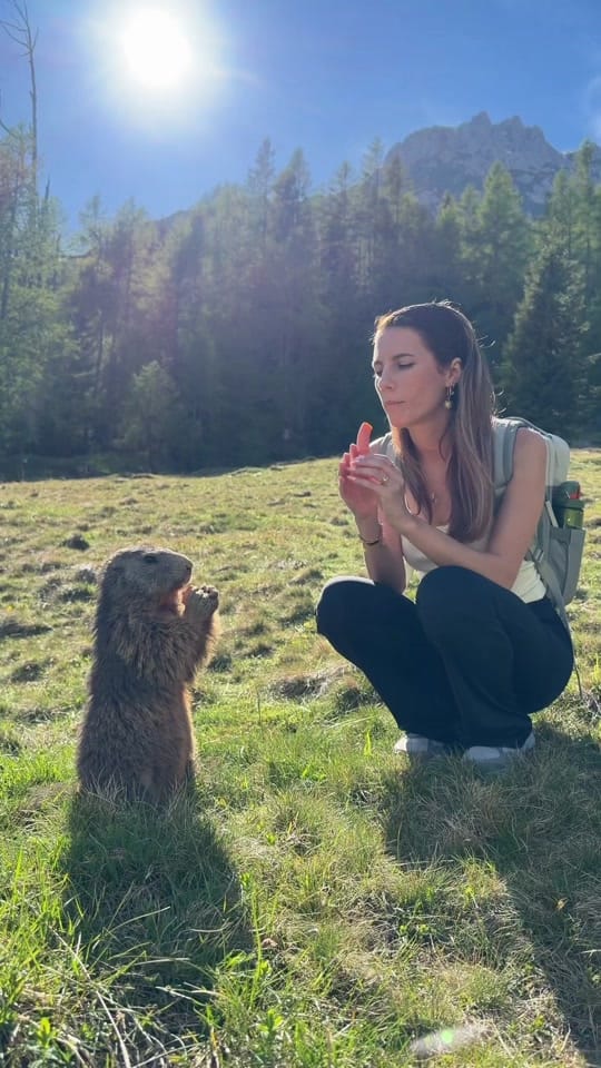 Post 6 by July on tour on TikTok (video)
