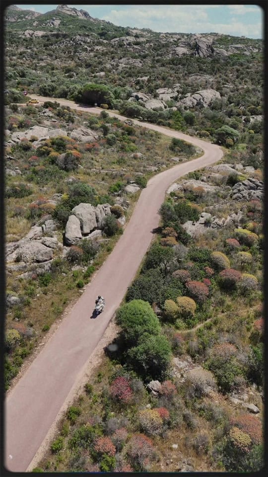 Post 7 by July on tour on TikTok (video)