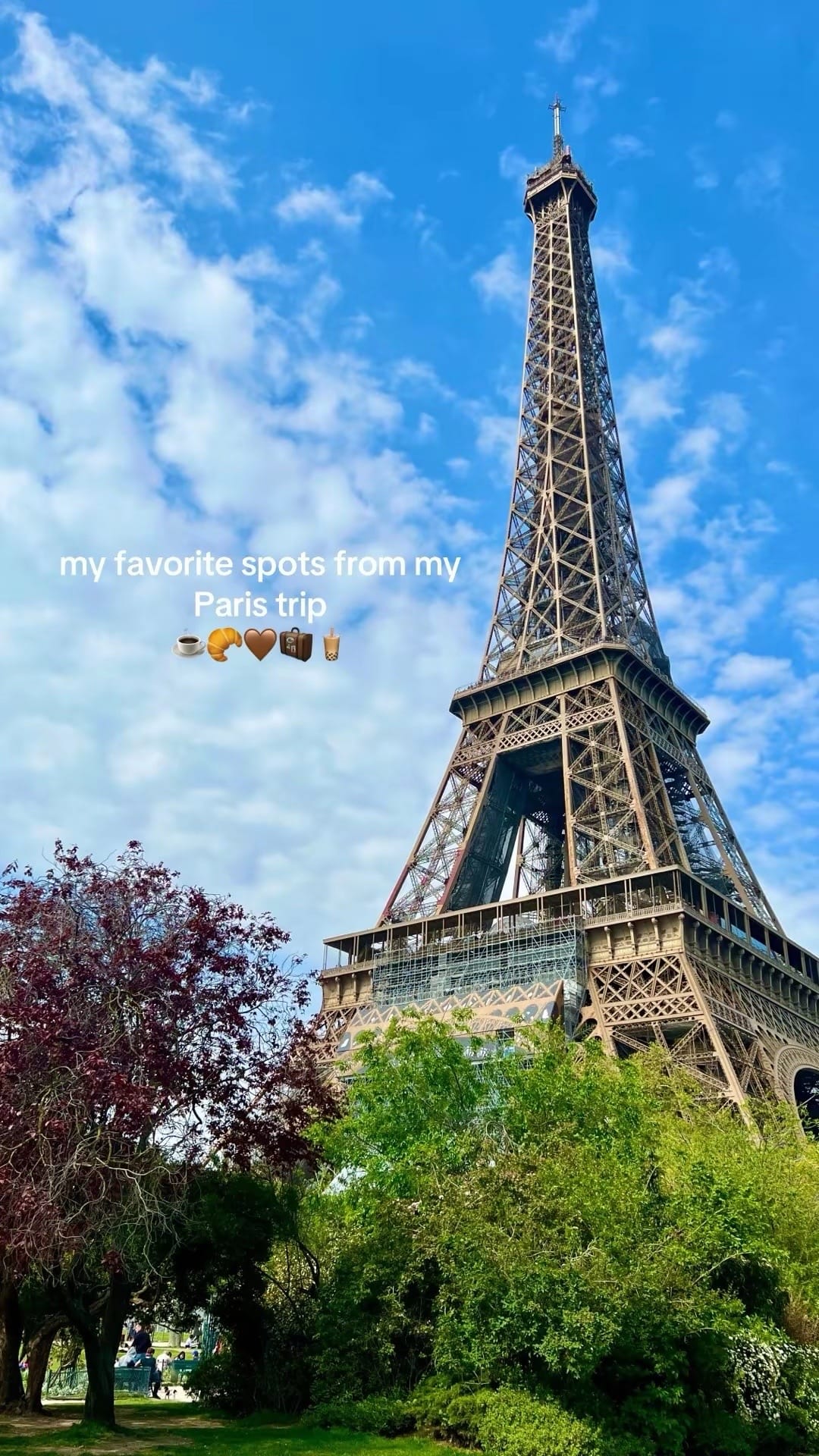 Post 3 by Paris on TikTok (video)