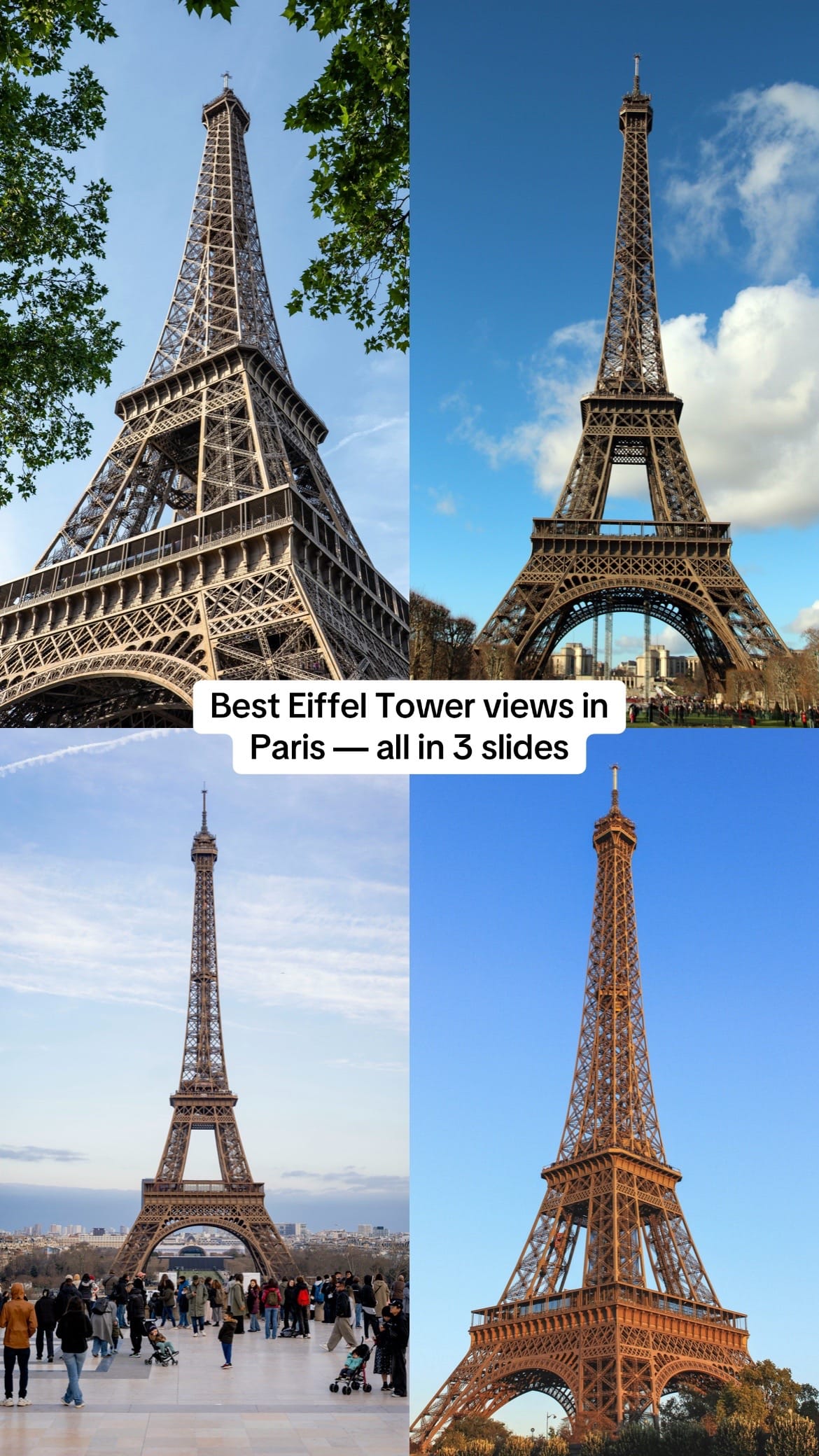 Post 8 by Paris on TikTok (video)
