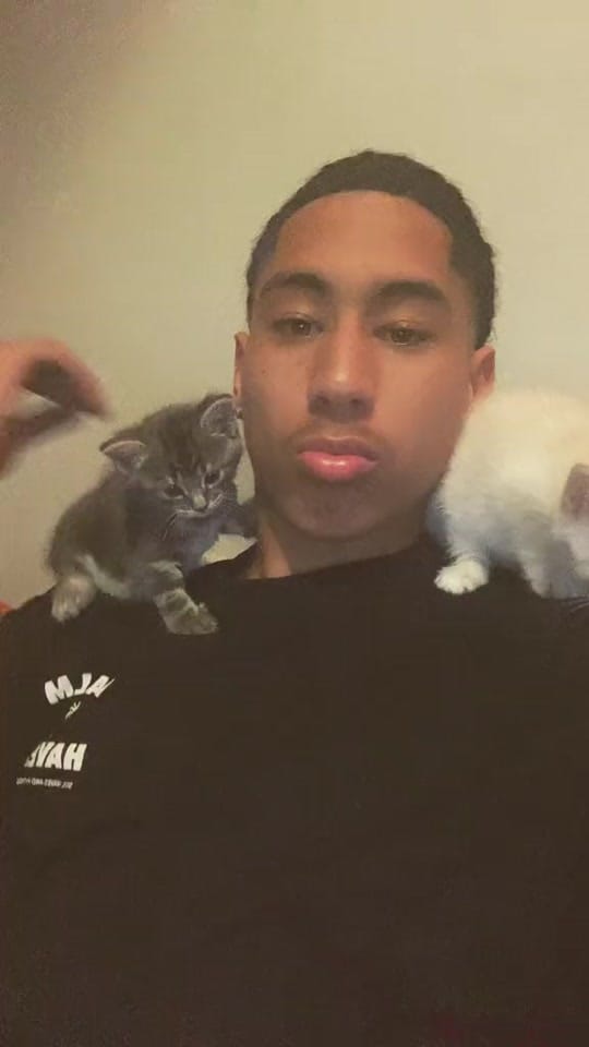Post 3 by 🇧🇷Nzo💆🏽‍♂️ on TikTok (video)