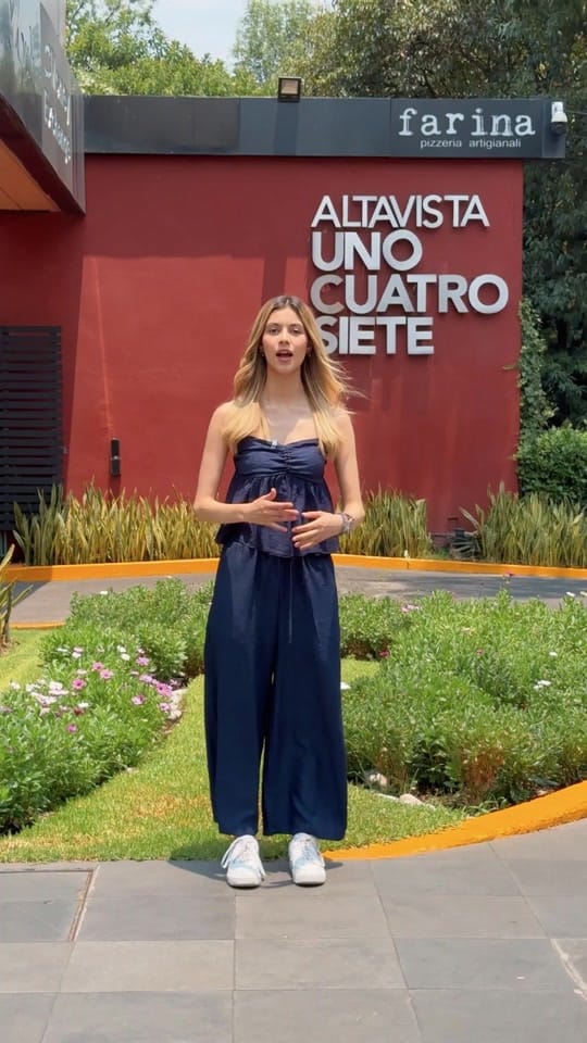 Post 4 by Altavista 147 on TikTok (video)