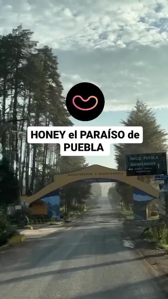 Post 8 by Viagio Mx on TikTok (video)