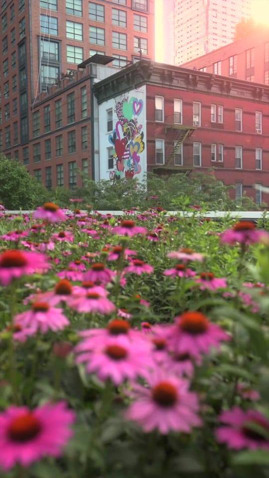 Post 4 by brittany | nyc photographer on TikTok (video)