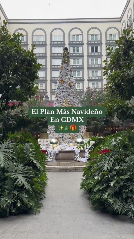 Post 3 by Experience Mexico on TikTok (video)