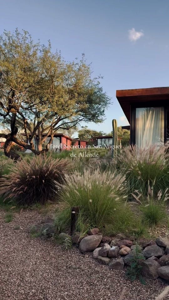 Post 5 by Experience Mexico on TikTok (video)