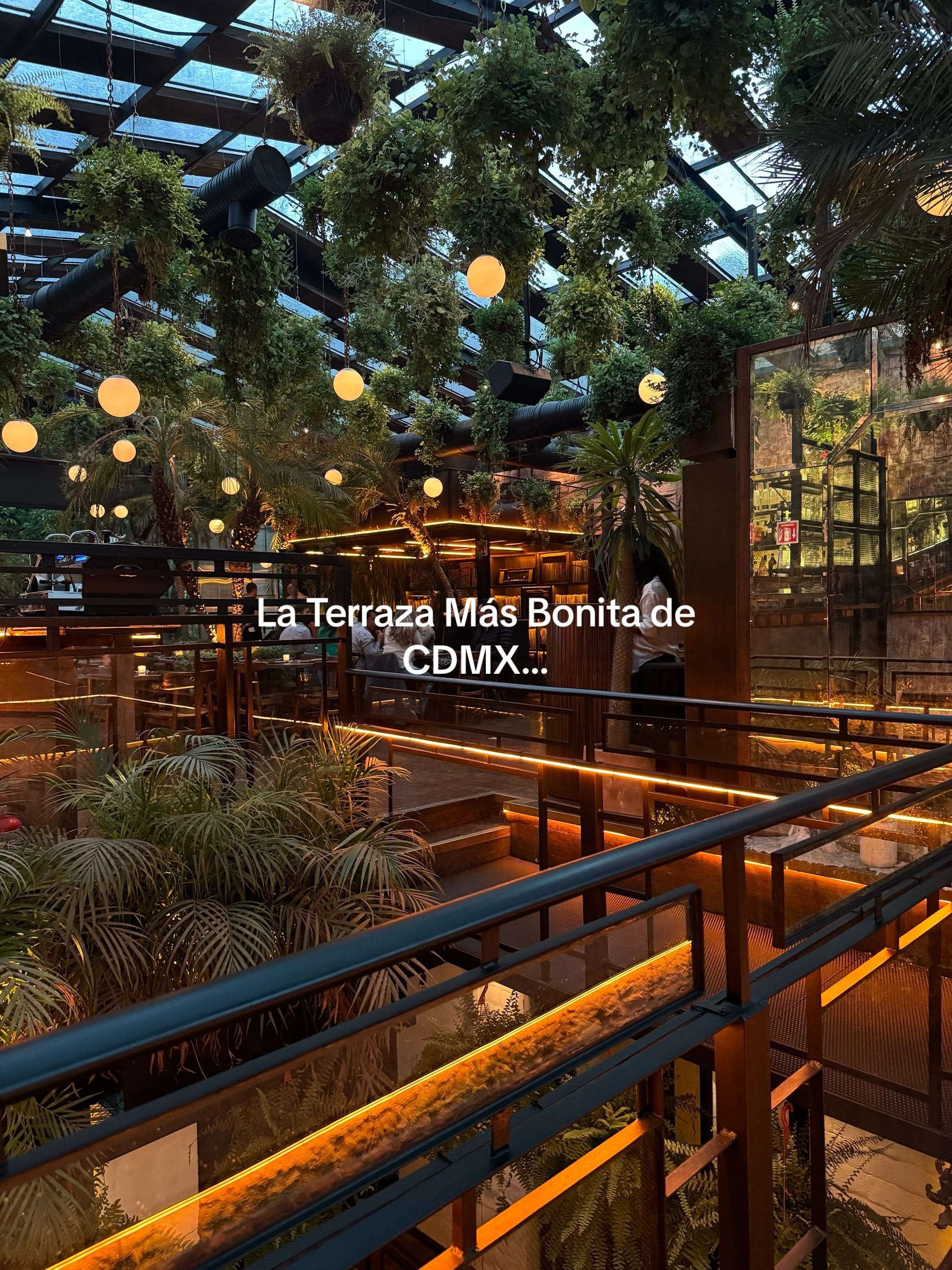 Post 2 by Experience Mexico on TikTok (video)