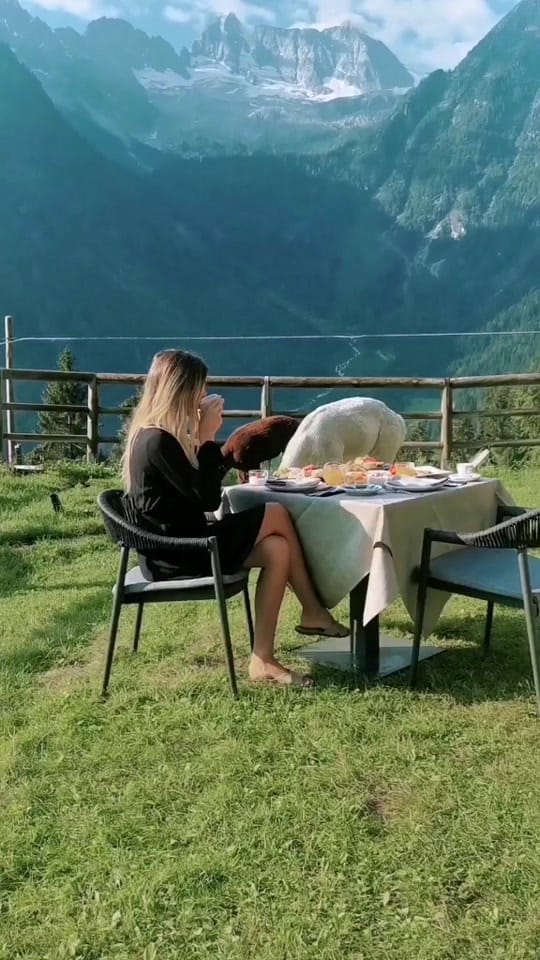 Post 8 by Valérie & Alessandro on TikTok (video)