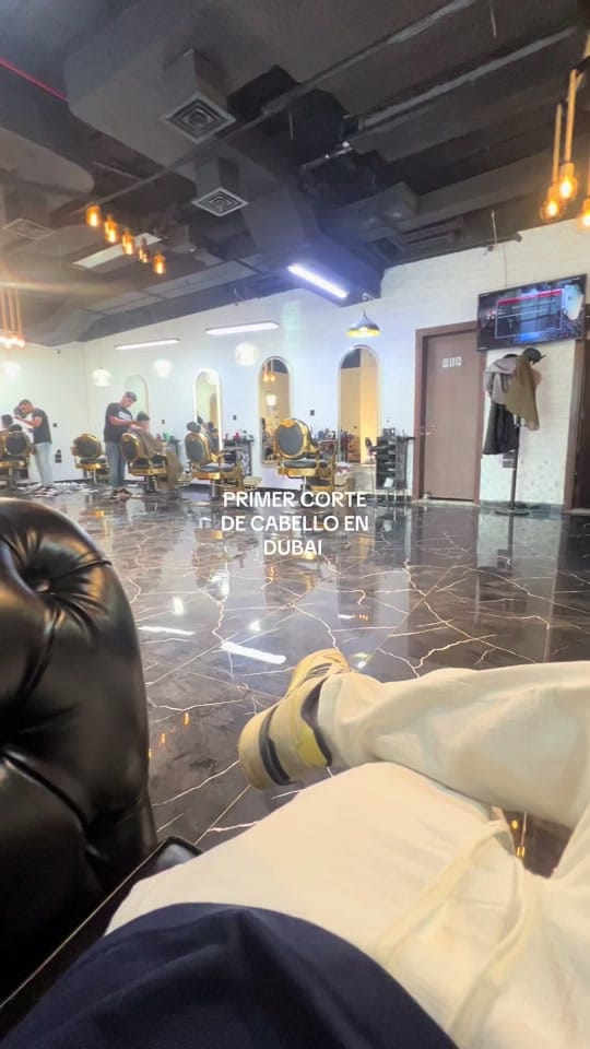 Post 9 by Aleeyleoo on TikTok (video)