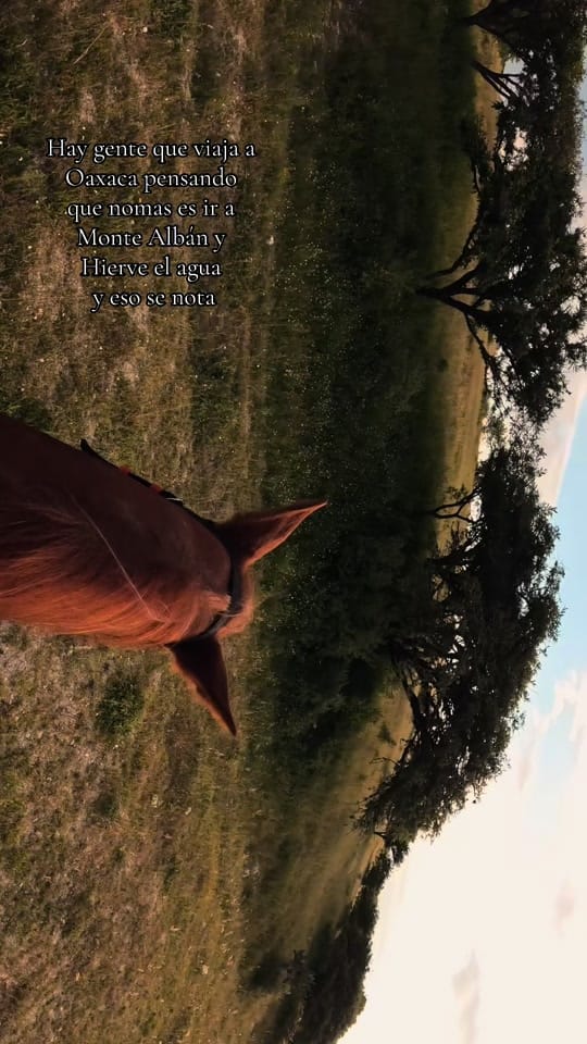 Post 4 by sie7experiences on TikTok (video)